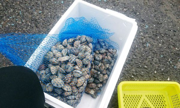 潮干狩り
